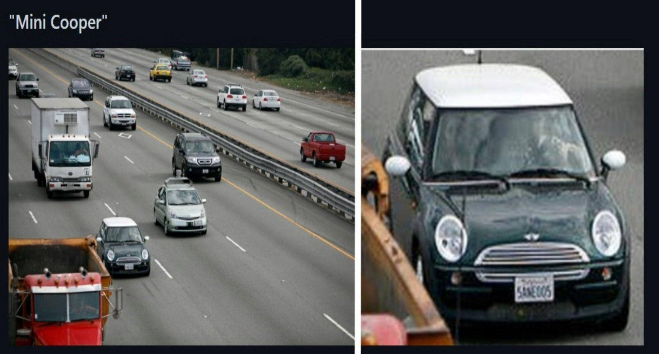 Crop-CLIP gallery image