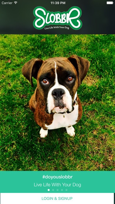 Slobbr gallery image