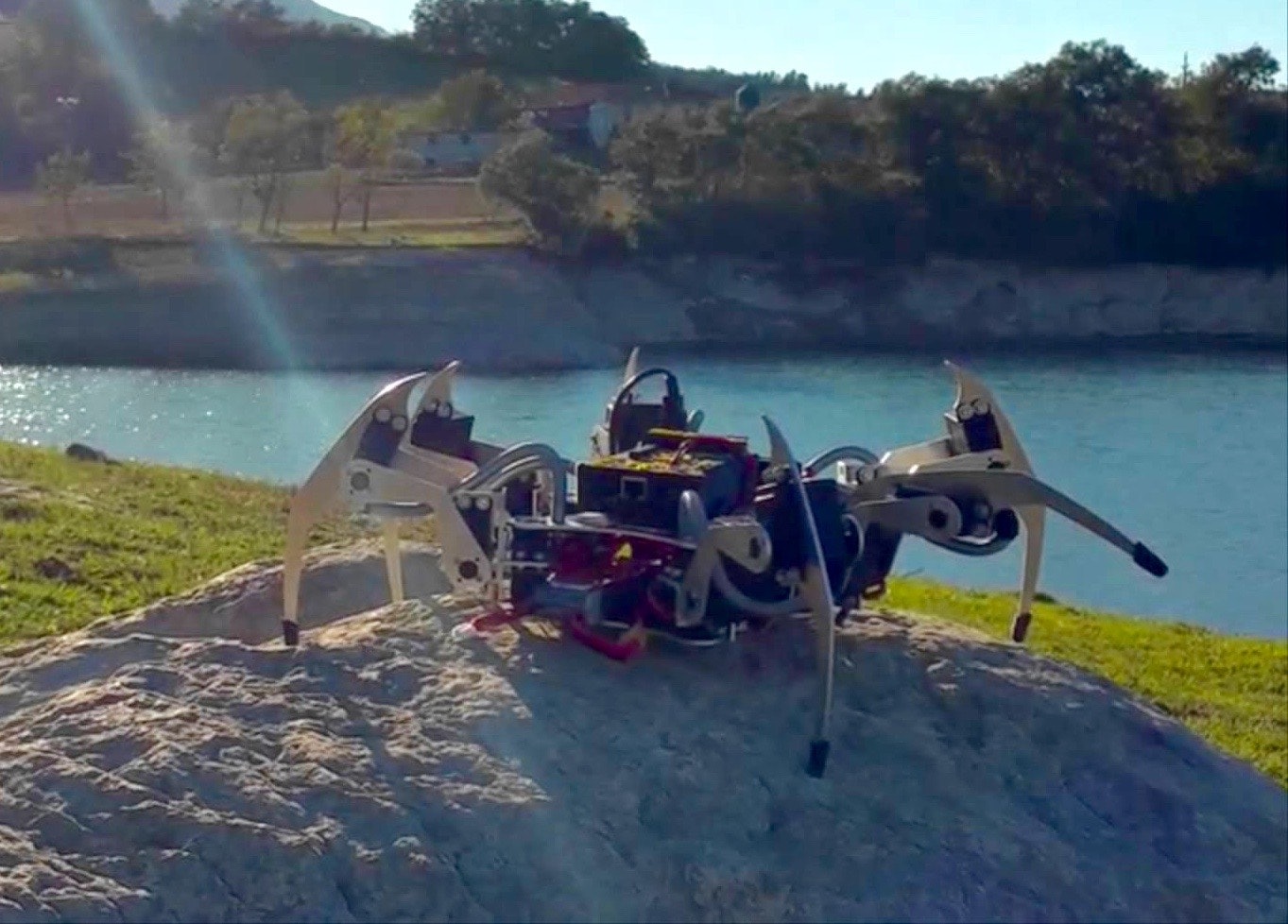 Erle-Spider gallery image