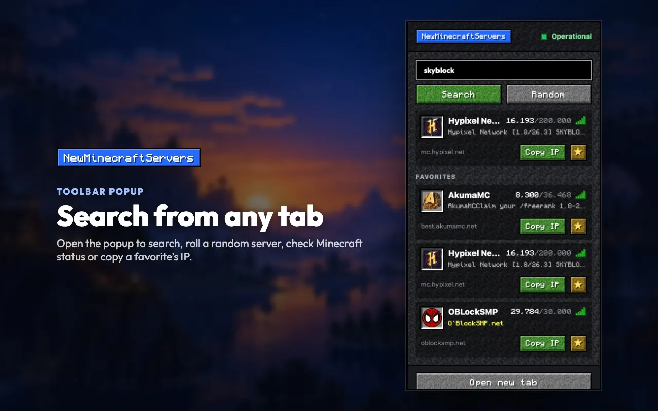 NewMinecraftServers gallery image