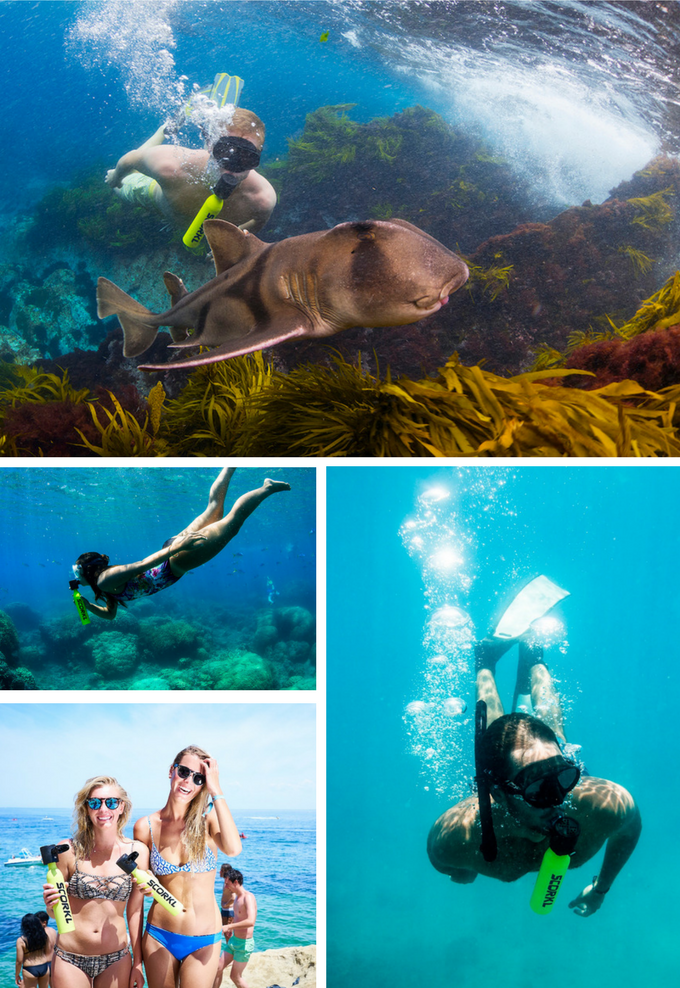 SCORKL gallery image