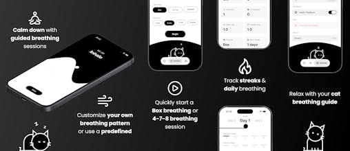 Breathing Exercises And A Cat gallery image