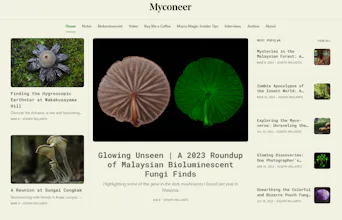 Myconeer gallery image