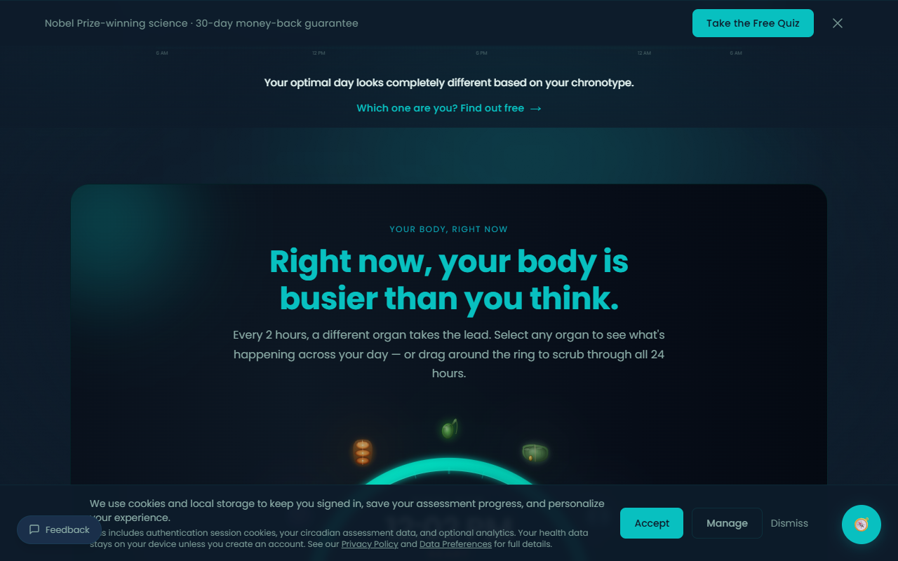 TheBodyClock  gallery image
