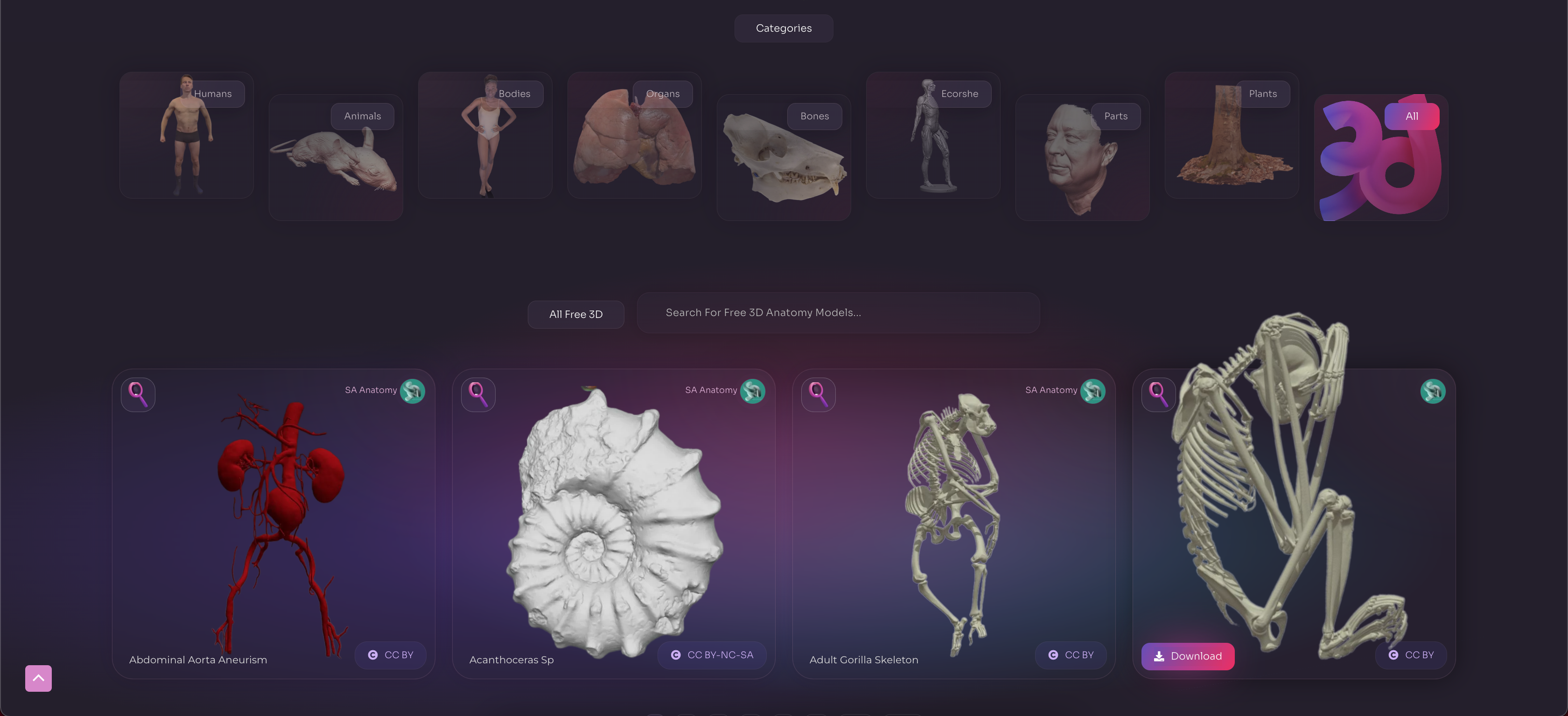 3D 해부학 상점 v2 - 등록이없는 해부학 적 3D 모델의 한 위치. 미디어 4