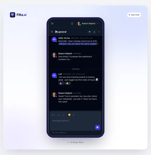 Flitz.ai 截图 3