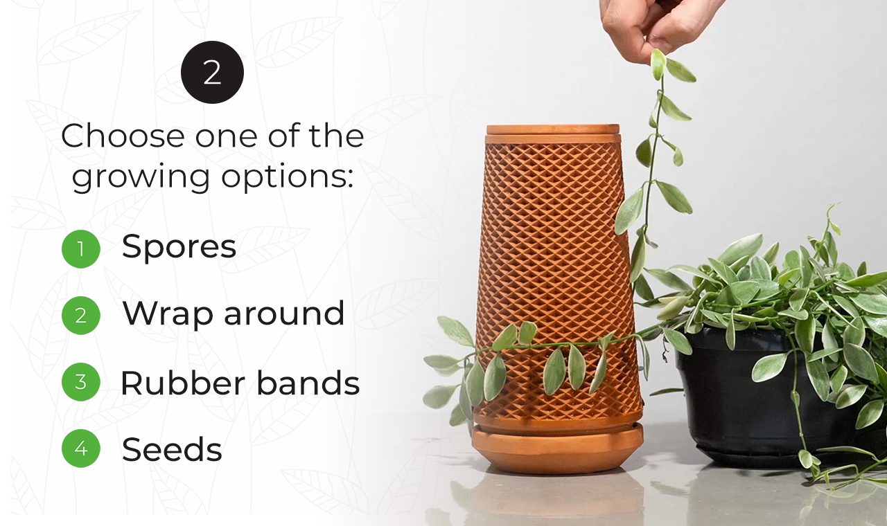 terraplanter gallery image