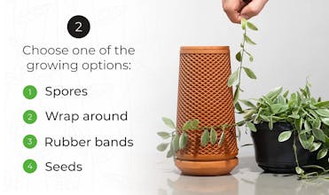 terraplanter gallery image