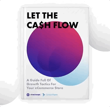 Let The Ca$h Flow for eCommerce Stores