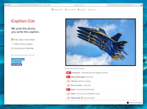 Caption Cat gallery image