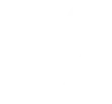 Vettable gallery image