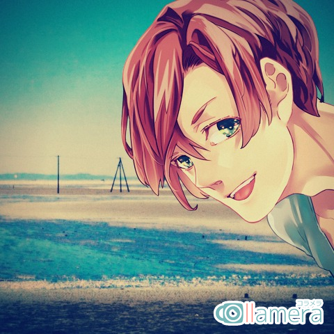 collamera gallery image