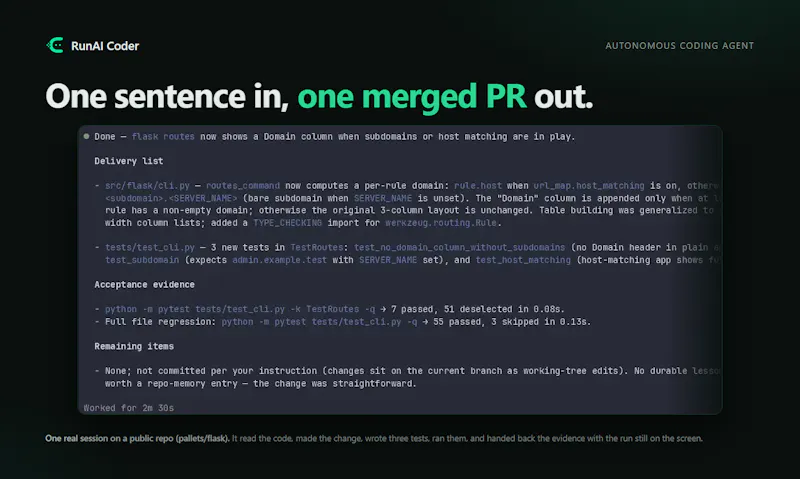 RunAI Coder screenshot 2