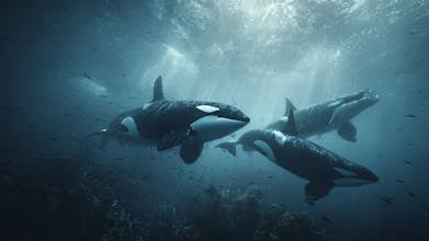 Nanobanana Pro Lens library gallery image