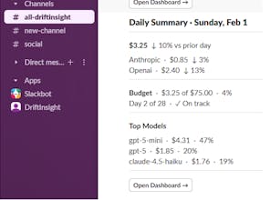 DriftInsight gallery image