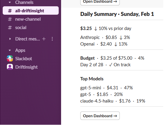 DriftInsight - Screenshot 3 showing product features and functionality