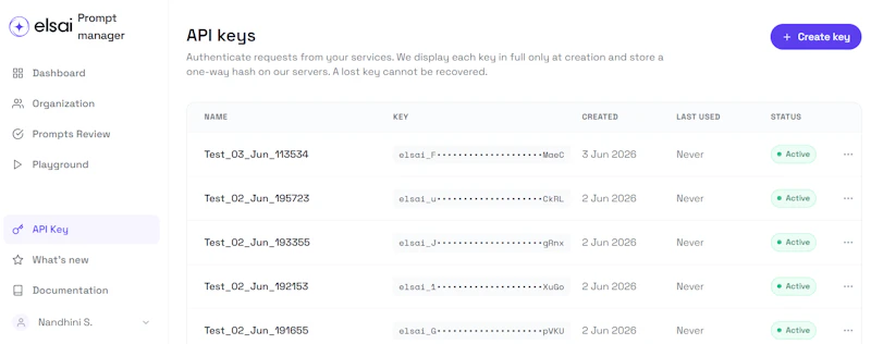 elsai Prompt Manager screenshot 5