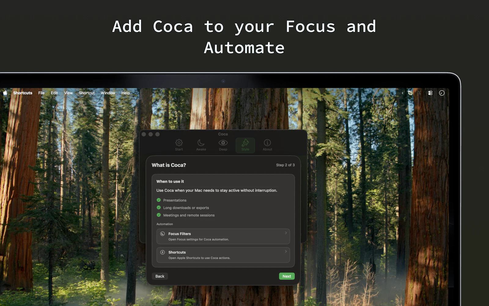 Coca 2.0 screenshot 6