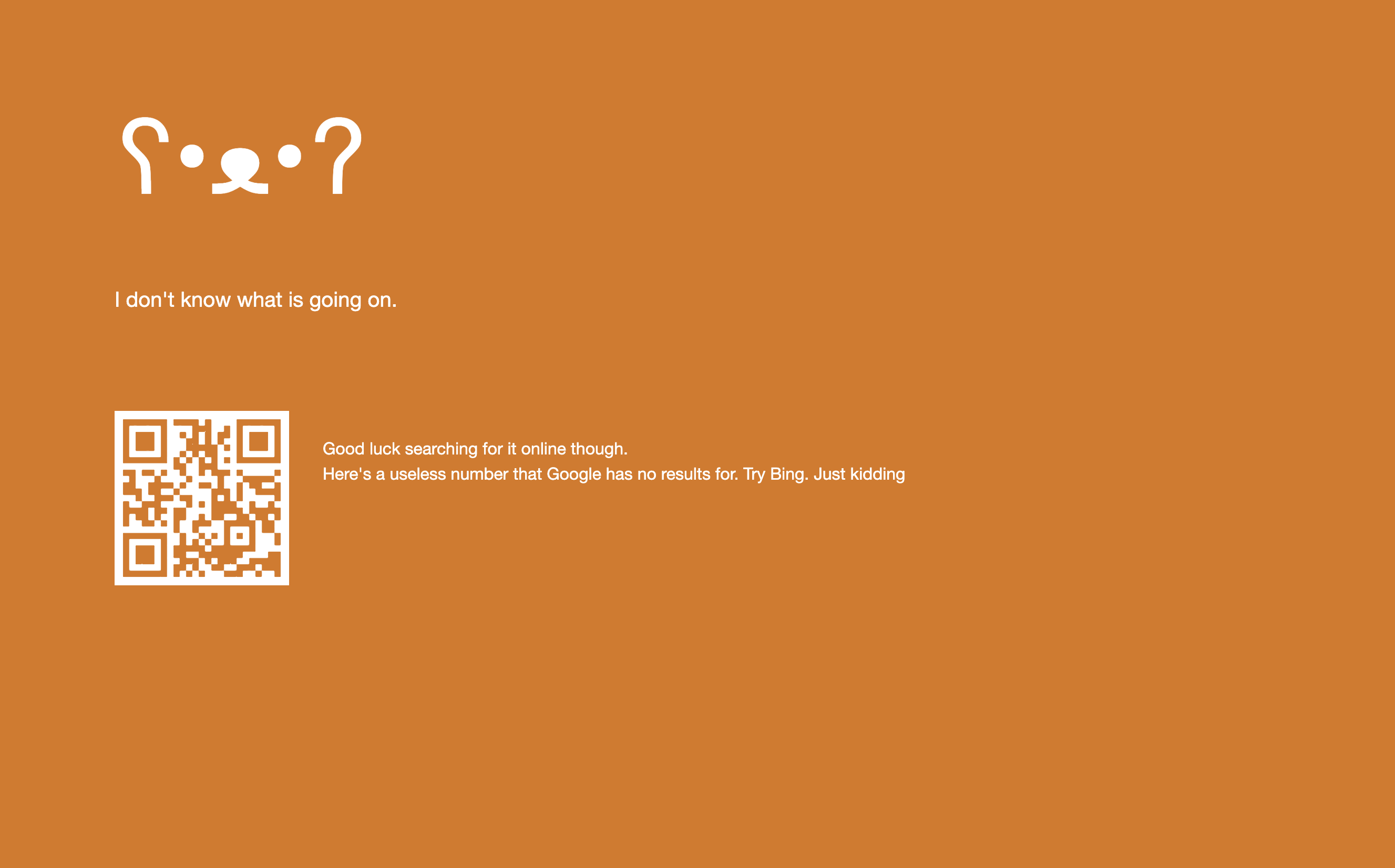 Gefälschte Windows BSOD Medien 8