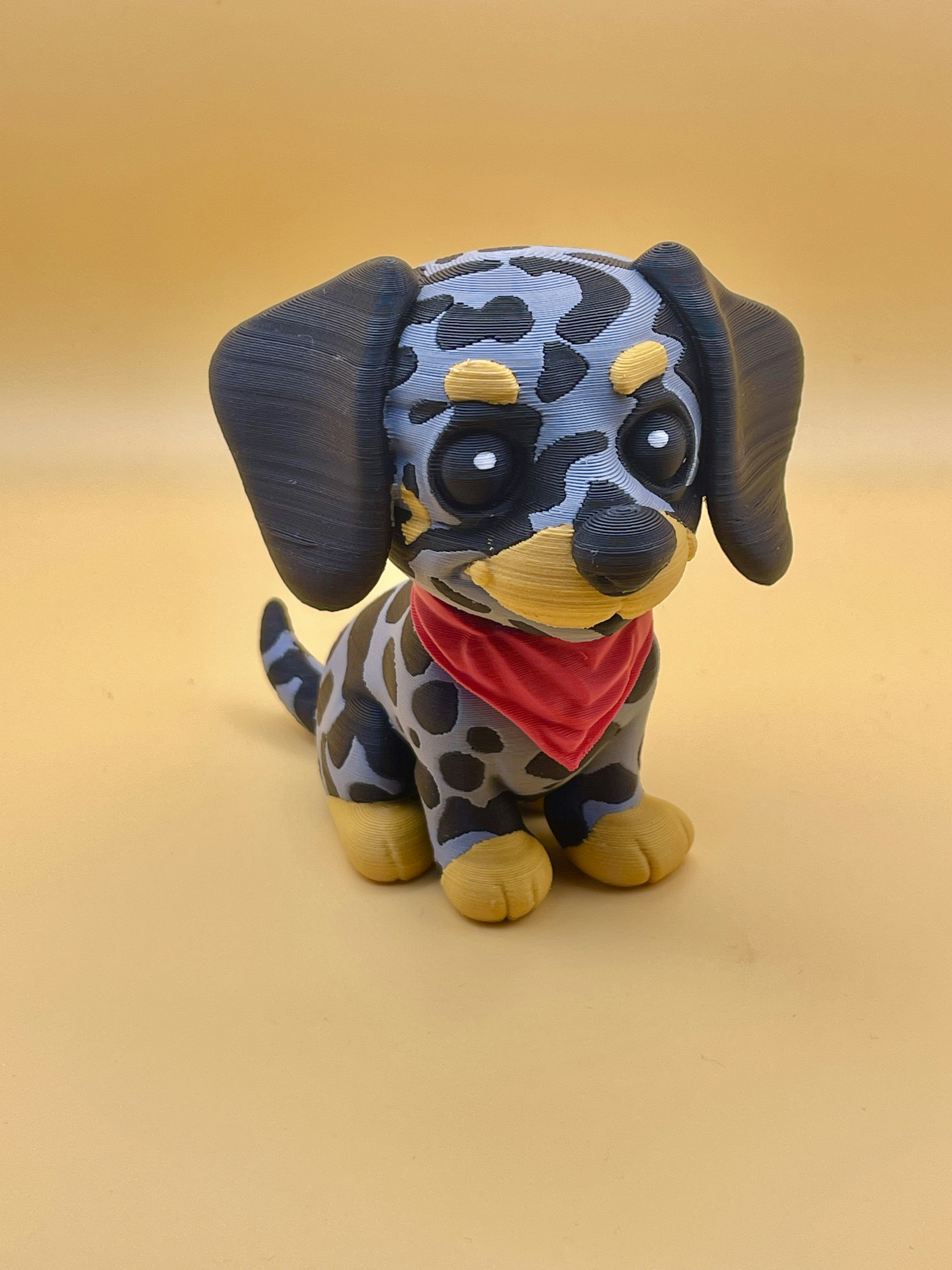 Didiga gallery image