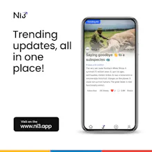 Ni3 gallery image