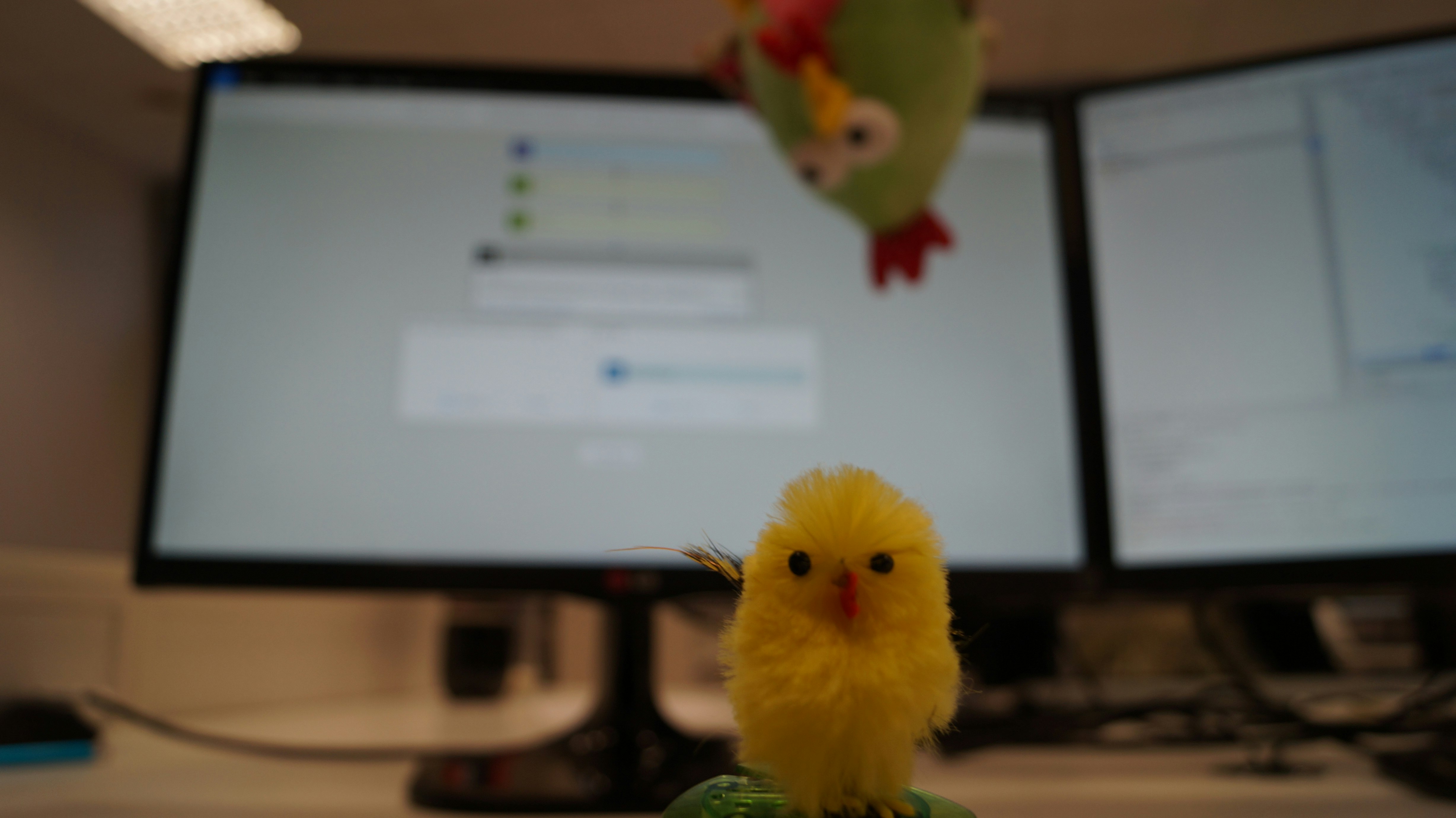 Elastic365 gallery image