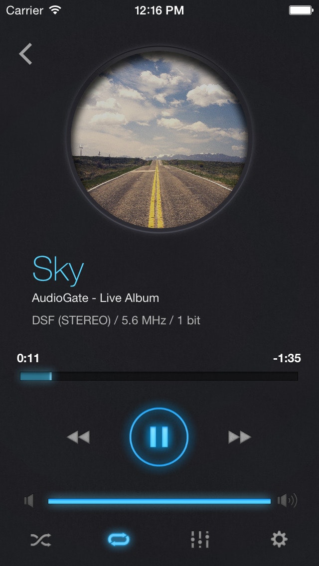 iAudioGate