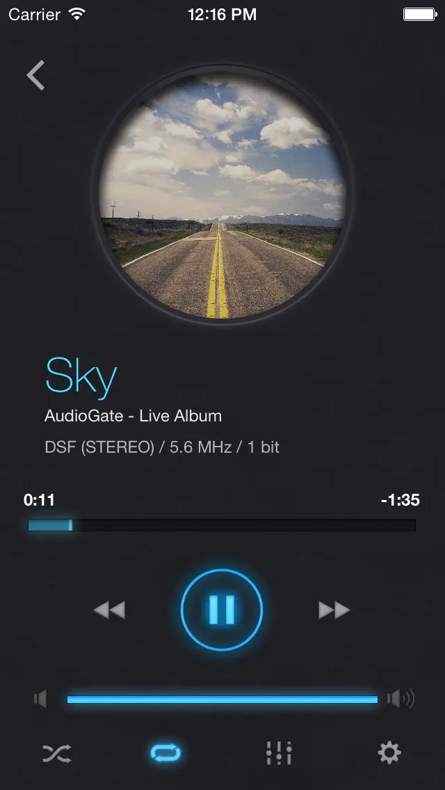 iAudioGate