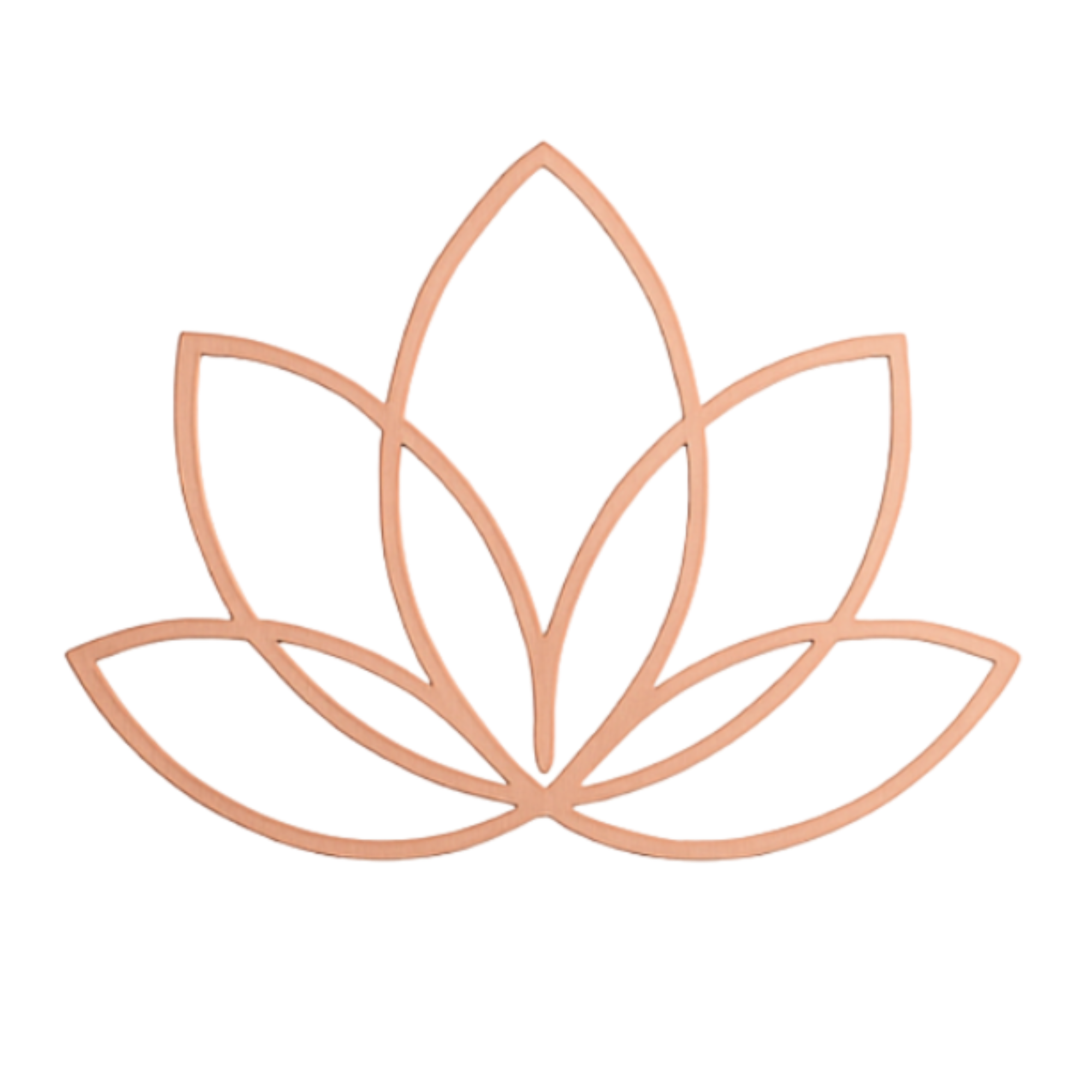 PREEVŪ Plastic™ logo