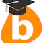 BlobCity Academy