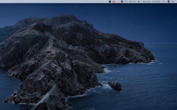 Somoji gallery image