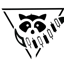 MarketRacoon