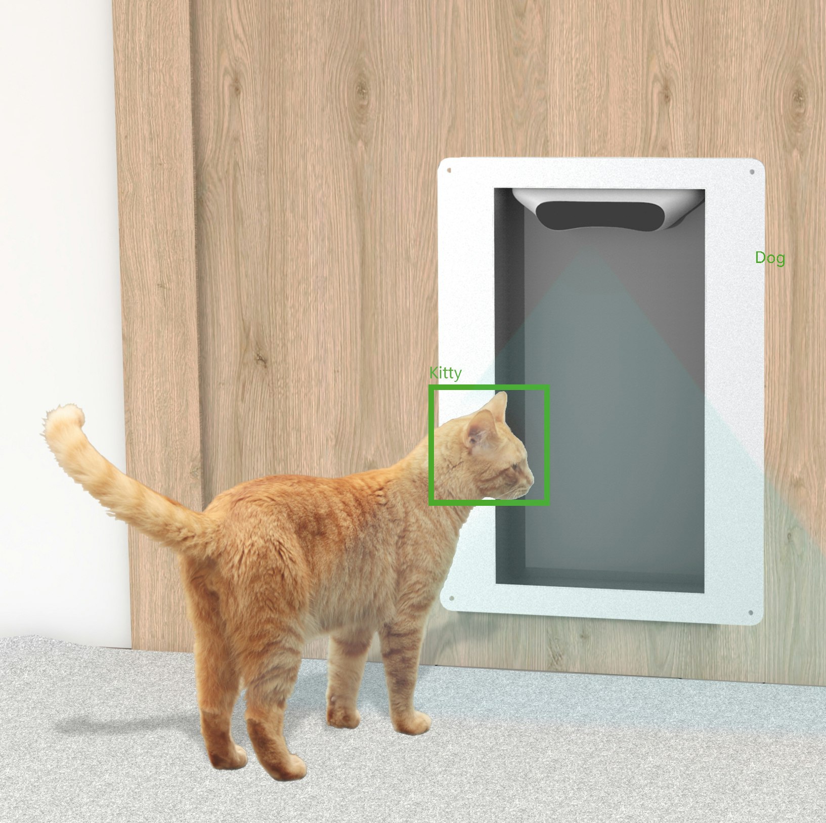 Behvation - La puerta de mascota automática inteligente alimentada con IA media 4