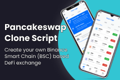 Pixel Web Solutions' PancakeSwap Clone gallery image