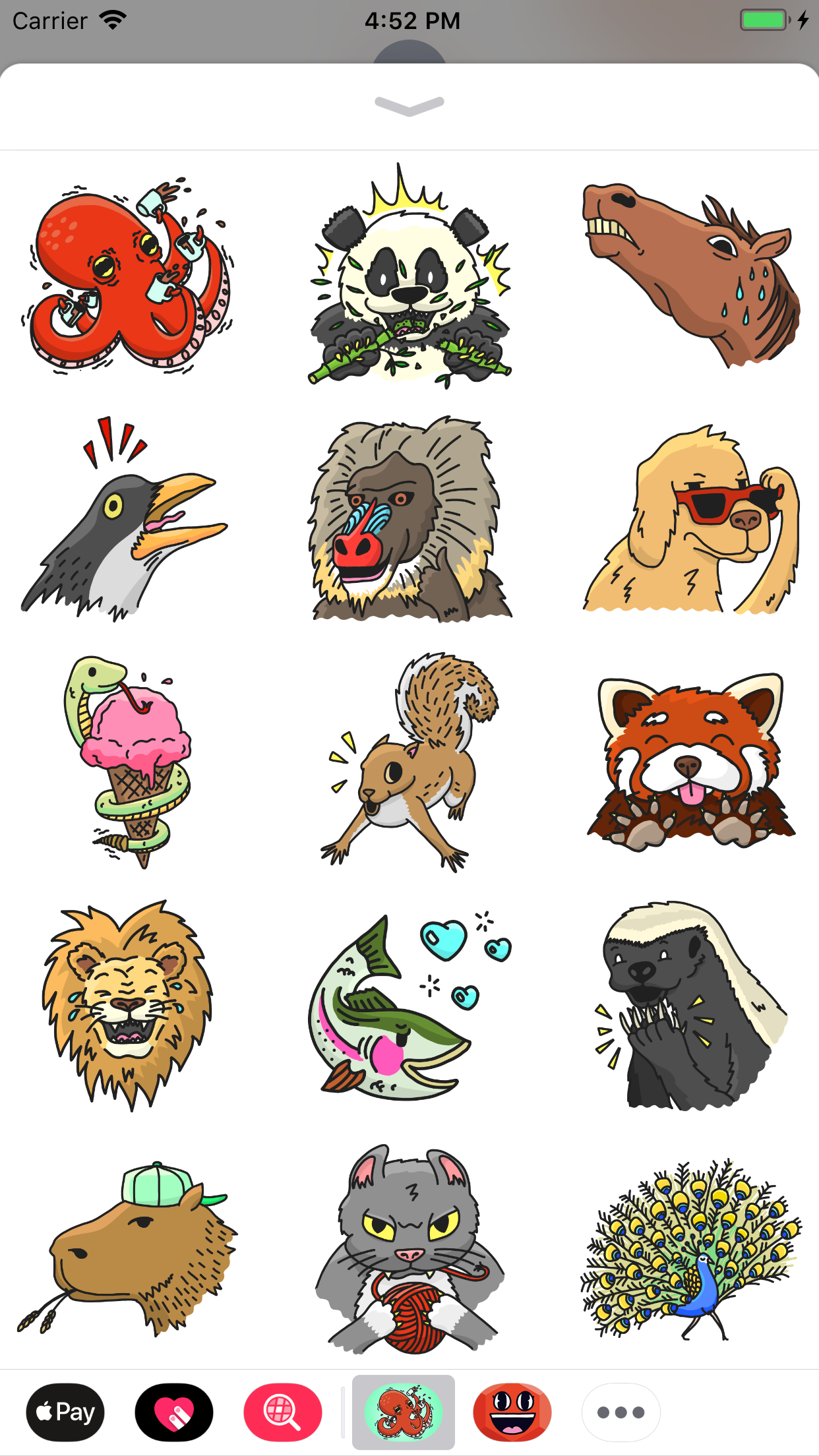 Wild Mood gallery image