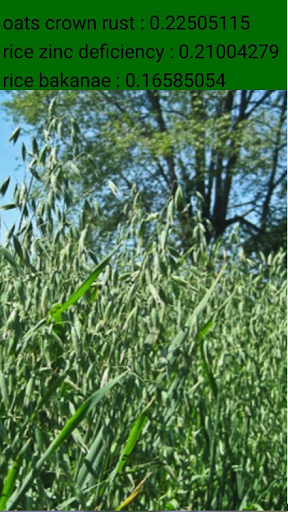 plantMD gallery image