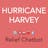 Hurricane Harvey Relief Chatbot
