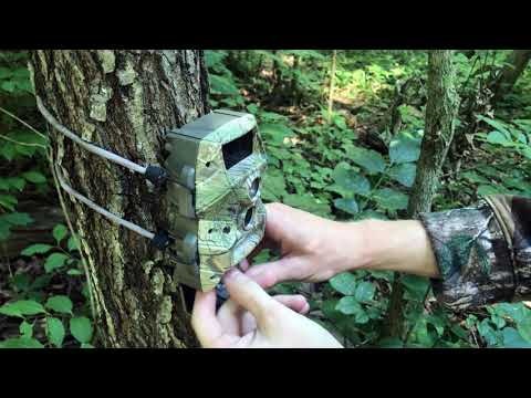 Hunt Perfect gallery image