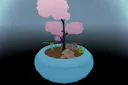 Pocket Bonsai