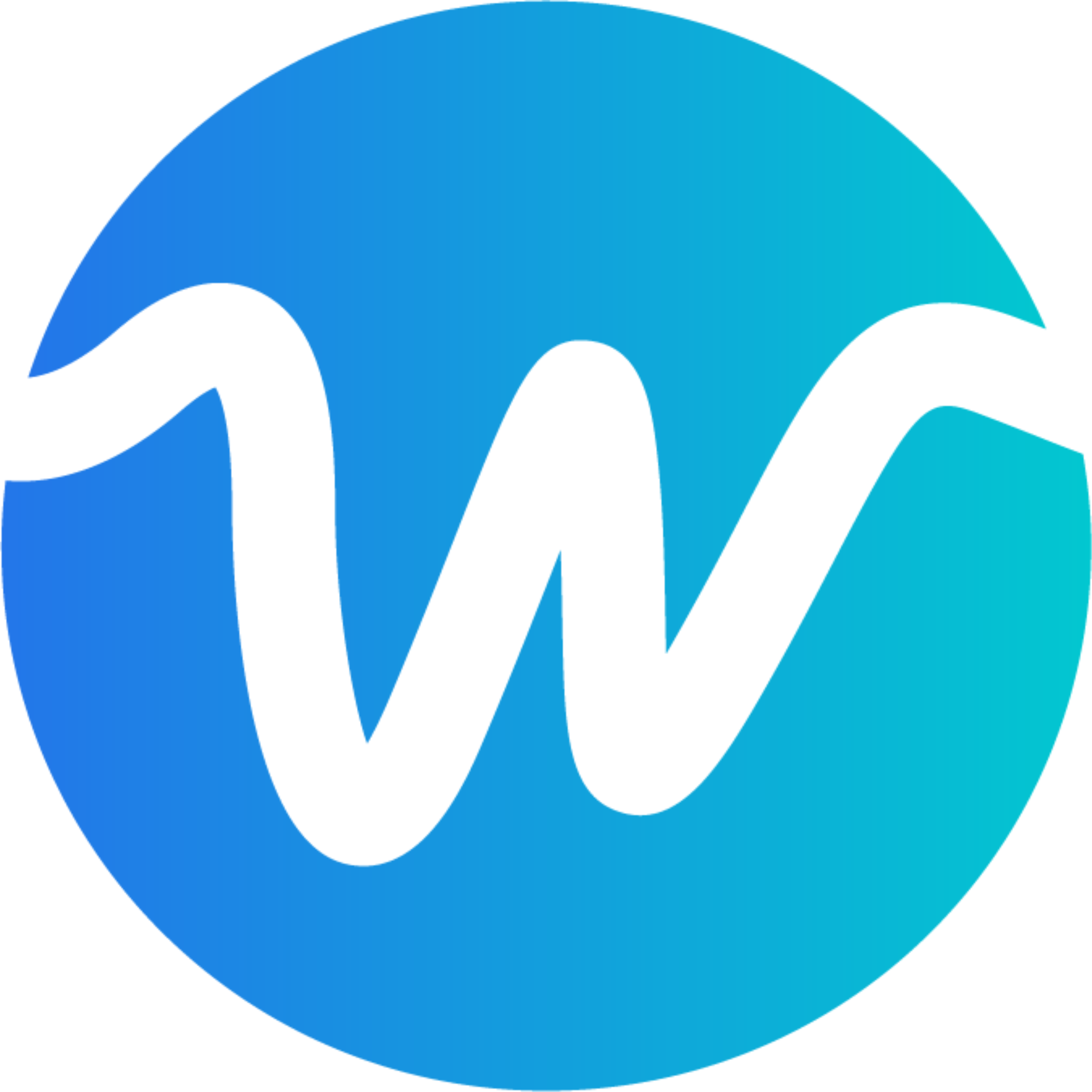W Soft Labs logo