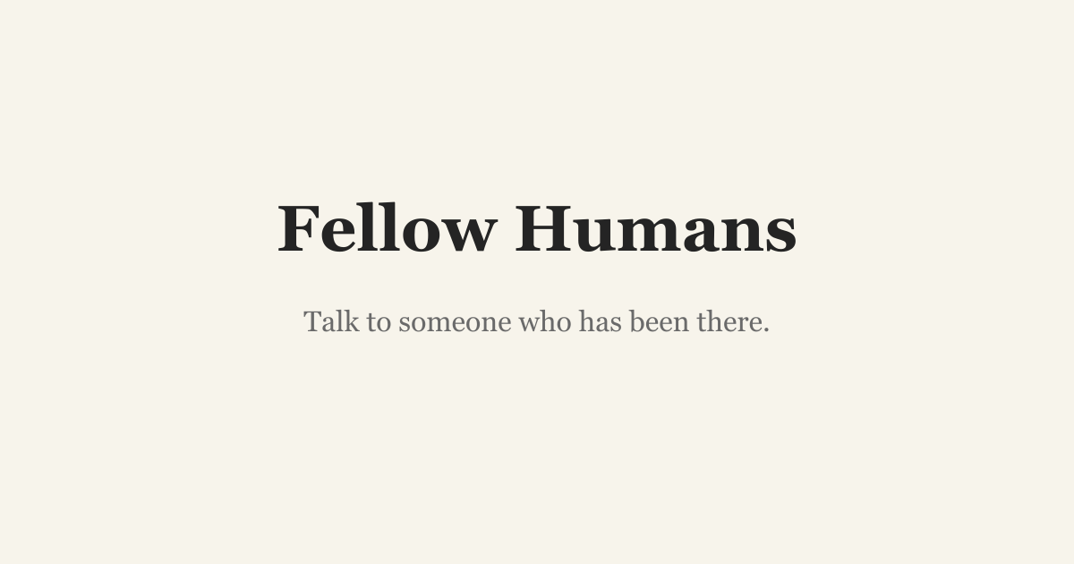 Fellow Humans gallery image