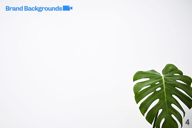 Brand Backgrounds gallery image
