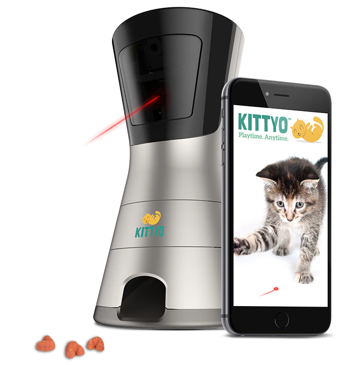 Kittyo