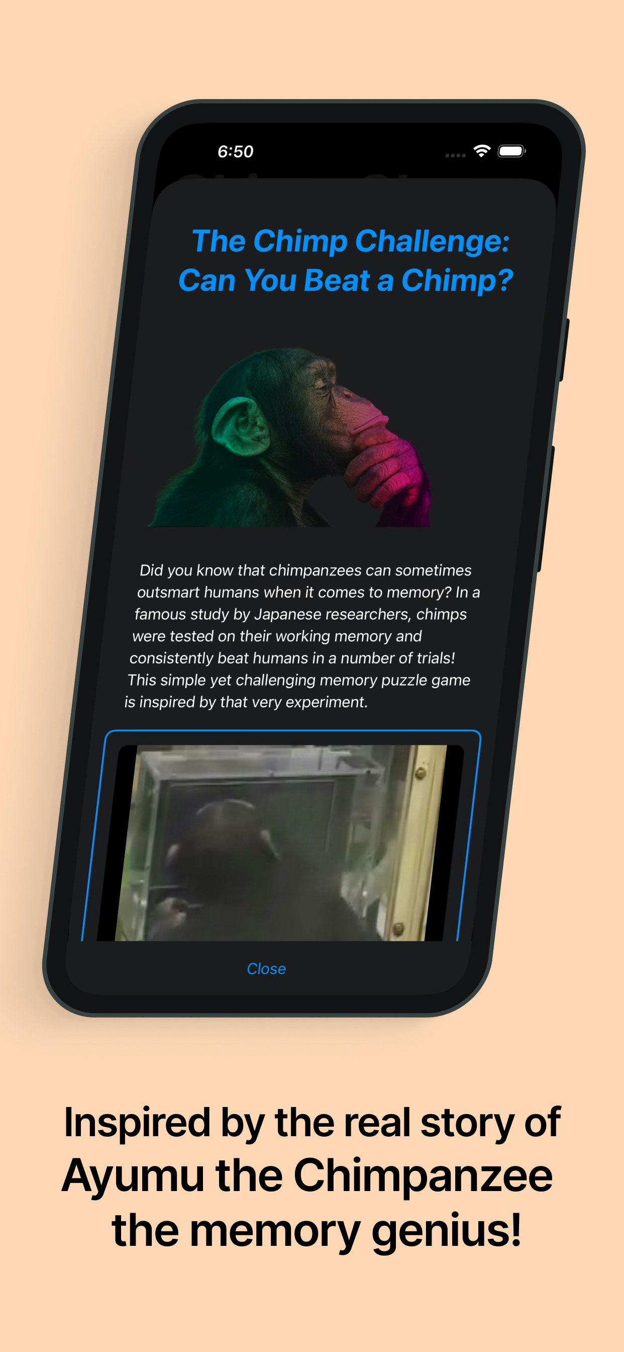 Chimp Champ! - Screenshot 5 preview