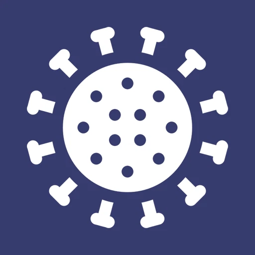 Remote Working during COVID-19