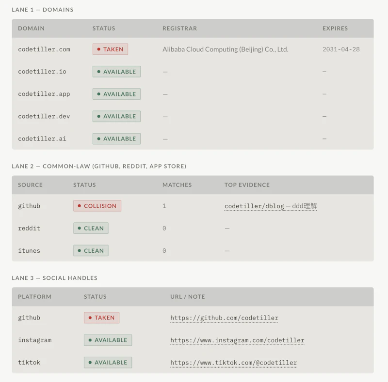 NameVerdict screenshot 3