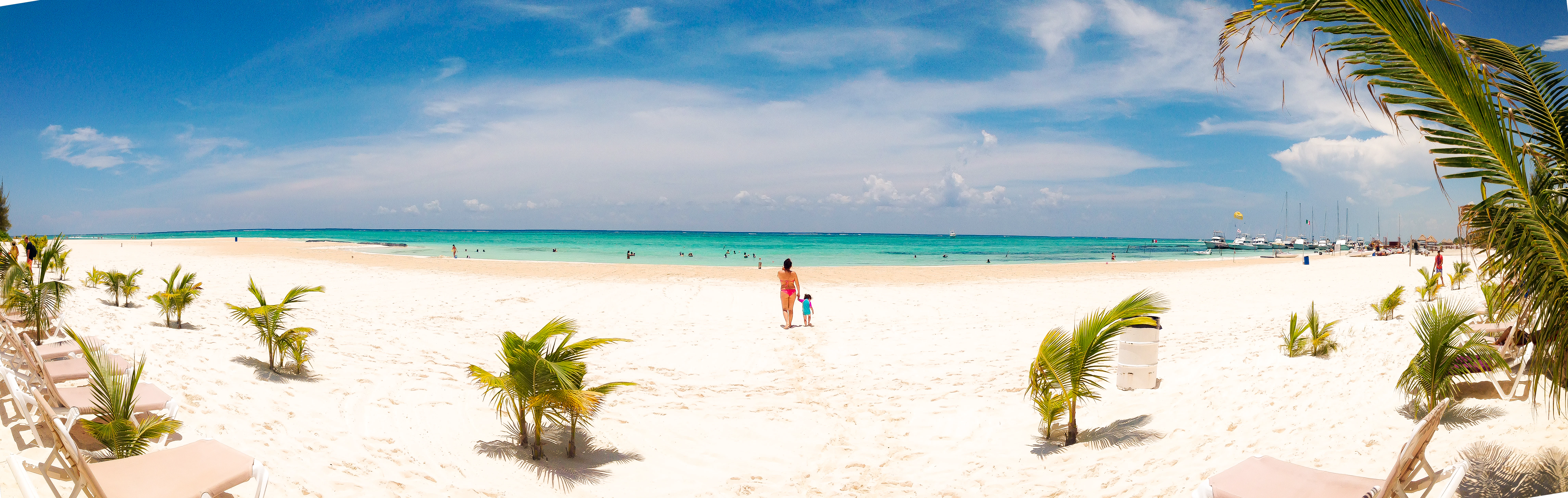 Darío Gutiérrez cover