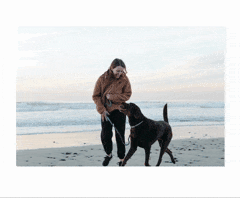 ClipDrop Remove Background