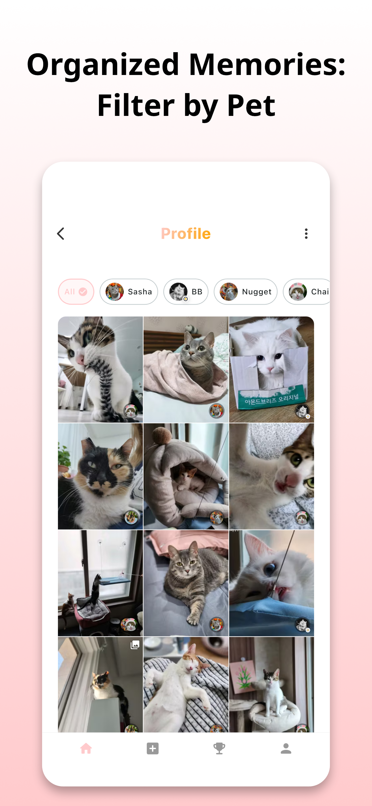 HappyPet gallery image