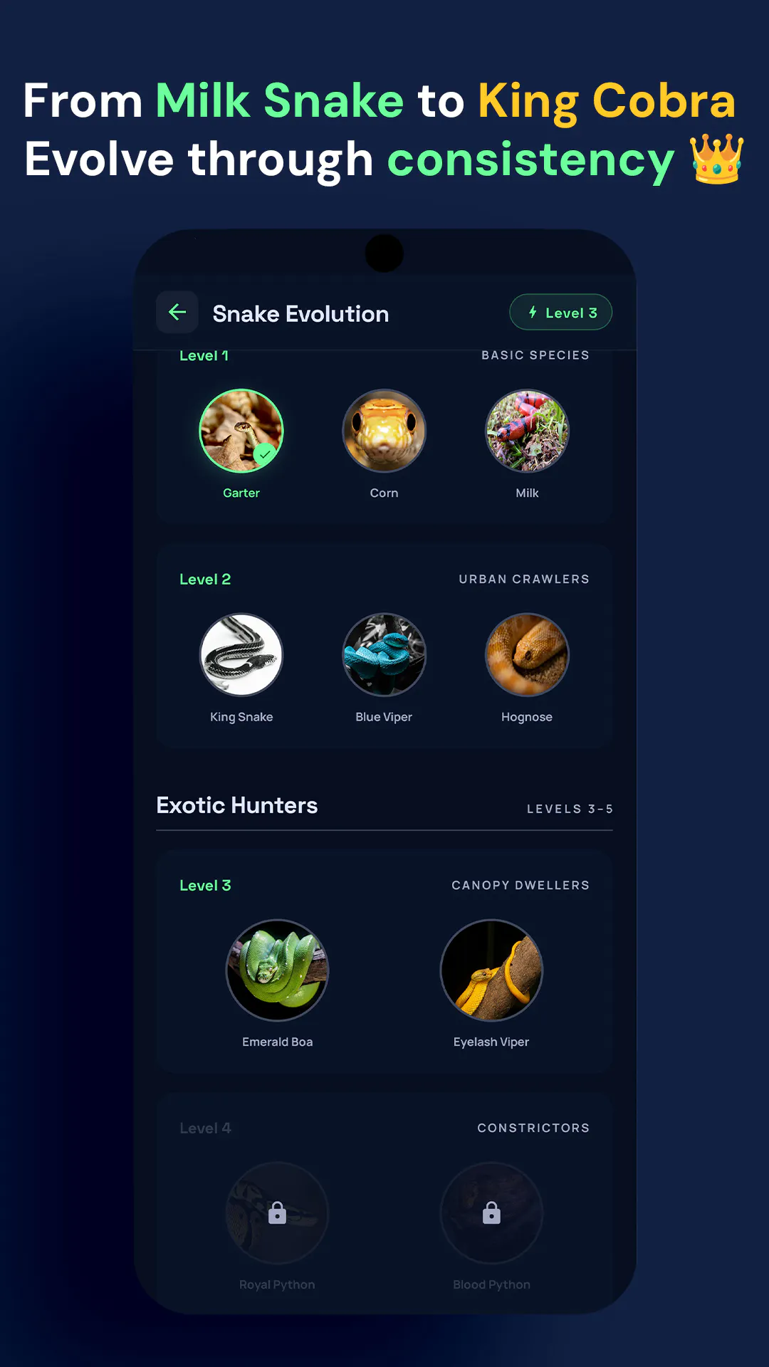 SnakeStreak gallery image